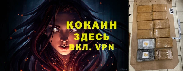 крисы Ростов