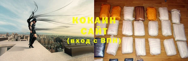 МДПВ Рославль