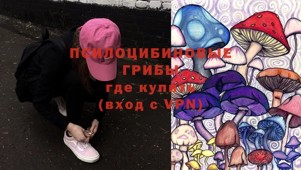 бошки Алексин